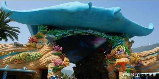 水族館簡介(水族館是一個展示,海洋生物多樣性的地方) 水族館百科(水族館加盟) 第6張 水族館簡介(水族館是一個展示,海洋生物多樣性的地方) 水族館簡介(水族館是一個展示,海洋生物多樣性的地方) 水族館百科(水族館加盟) 第6張