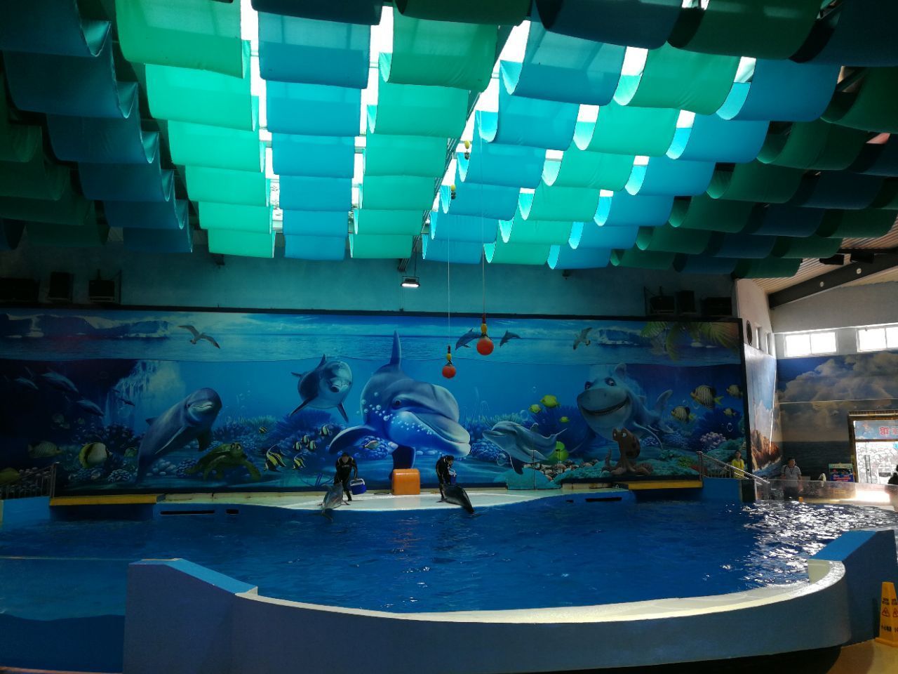 水族館哪里的比較好玩（上海海洋水族館）