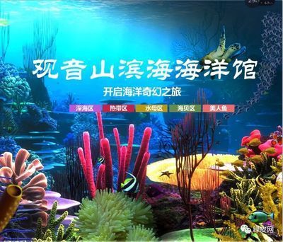水族館開業送什么好（三湖慈鯛養殖技巧分享：水族館開業時贈送合適的禮物） 水族館開業送什么好（三湖慈鯛養殖技巧分享：水族館開業時贈送合適的禮物） 水族館百科（水族館加盟） 第6張