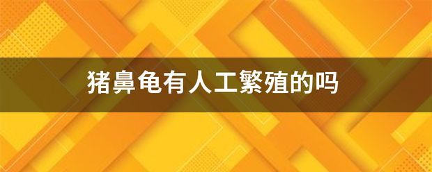 人工飼養豬鼻龜怎么繁殖：人工繁殖豬鼻龜繁殖視頻(豬鼻龜怎么繁殖