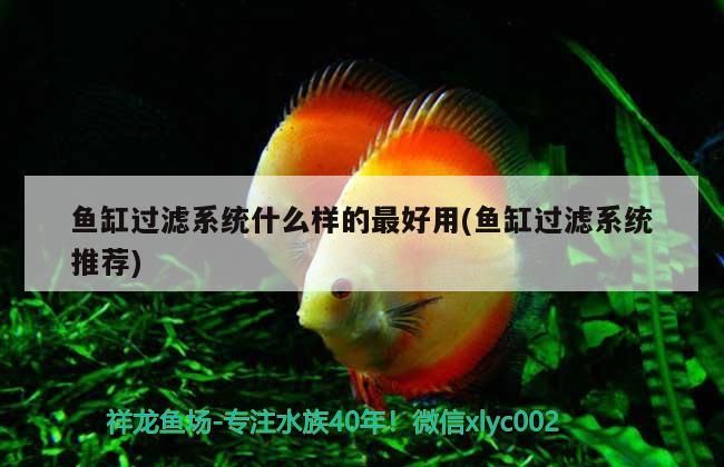 魚缸過濾系統什么樣的最好用(魚缸過濾系統推薦) 錦鯉魚百科 第3張 魚缸過濾系統什么樣的最好用(魚缸過濾系統推薦) 魚缸過濾系統什么樣的最好用(魚缸過濾系統推薦) 錦鯉魚百科 第3張