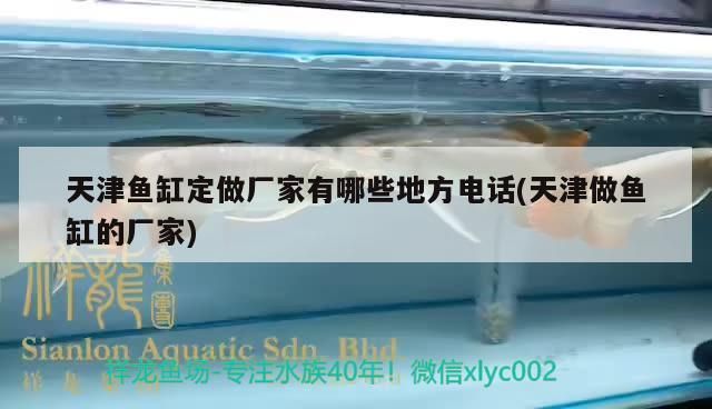 天津魚缸定做廠家有哪些地方電話(天津做魚缸的廠家)