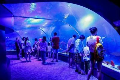 水族館的定義（水族館是一個專門用于展覽水生生態保護、教育公眾、推動科學研究的基地）