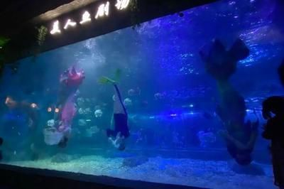 水族館需要投資多少錢呢現(xiàn)在怎么樣了(開(kāi)設(shè)一個(gè)中小型水族館的初始投資大約在幾十萬(wàn)元之間) 水族館百科(水族館加盟) 第4張 水族館需要投資多少錢呢現(xiàn)在怎么樣了(開(kāi)設(shè)一個(gè)中小型水族館的初始投資大約在幾十萬(wàn)元之間) 水族館需要投資多少錢呢現(xiàn)在怎么樣了(開(kāi)設(shè)一個(gè)中小型水族館的初始投資大約在幾十萬(wàn)元之間) 水族館百科(水族館加盟) 第4張