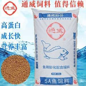 銀龍魚怎么混養最好(銀龍魚與什么混養最好)