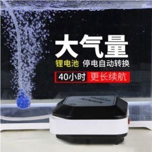金龍魚恒溫器使用指南：如何正確維護金龍魚恒溫器
