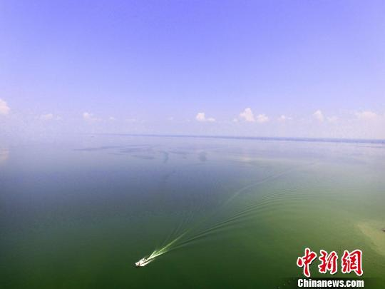 龍魚吃什么營養(yǎng)價值高又好養(yǎng) 龍魚百科 第3張 龍魚吃什么營養(yǎng)價值高又好養(yǎng) 龍魚吃什么營養(yǎng)價值高又好養(yǎng) 龍魚百科 第3張