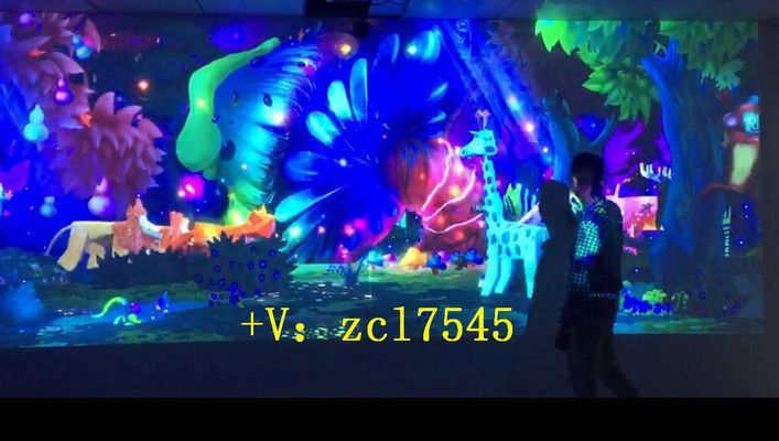 互動投影水族館技術解析（互動投影水族館）