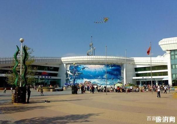中國水族館排名前十名（中國動物水族館排名前十名）
