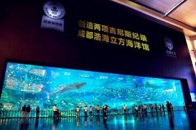 水族館取名字大全（水族館名字的文化元素）