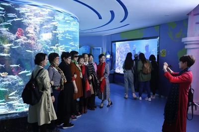 水族館投資大概多少錢一個月呢(水族館投資成本) 水族館百科(水族館加盟) 第4張 水族館投資大概多少錢一個月呢(水族館投資成本) 水族館投資大概多少錢一個月呢(水族館投資成本) 水族館百科(水族館加盟) 第4張