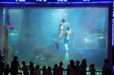 水族館投資大概多少錢一個月呢(水族館投資成本) 水族館百科(水族館加盟) 第6張 水族館投資大概多少錢一個月呢(水族館投資成本) 水族館投資大概多少錢一個月呢(水族館投資成本) 水族館百科(水族館加盟) 第6張