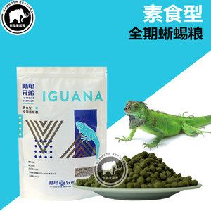 如何給金龍魚活餌料消毒：金龍魚活餌料怎么消毒