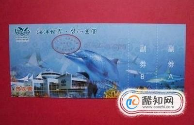 開一家水族館需要些什么證件呢視頻（開一家水族館需要些什么證件呢視頻詳情） 開一家水族館需要些什么證件呢視頻（開一家水族館需要些什么證件呢視頻詳情） 水族館百科（水族館加盟） 第2張