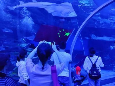 水族館收入（水族館收入來源及其對(duì)經(jīng)濟(jì)的影響）