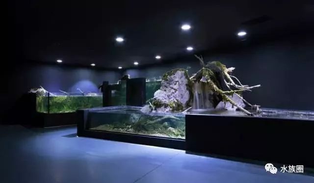 水族館內巖石造景建議（水族箱巖石造景案例分享，）