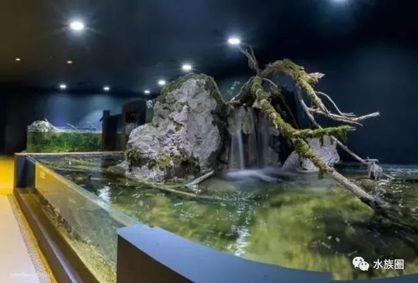 水族館內巖石造景建議（水族箱巖石造景案例分享，）