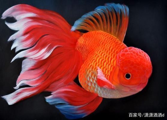 高端龍魚缸品牌有哪些