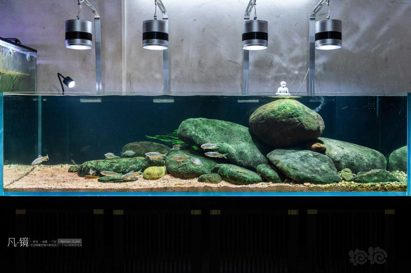 凡媽魚缸，凡媽魚缸品牌對比,魚缸風水擺放技巧