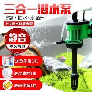 觀賞魚循環(huán)水泵需要24小時(shí)開嗎（觀賞魚的循環(huán)水泵是否需要24小時(shí)開啟）