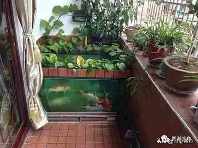 桑植水族館(水族館圣桑介紹)