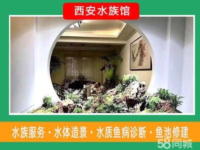 水族館如何診斷魚病（水族館診斷魚病是一個多步驟、多角度的過程需綜合運用） 水族館如何診斷魚病（水族館診斷魚病是一個多步驟、多角度的過程需綜合運用） 水族館百科（水族館加盟） 第2張
