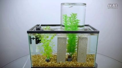負壓魚缸的制作方法有哪些，負壓魚缸維護技巧