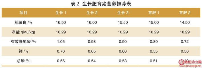養(yǎng)龍魚和虎魚要養(yǎng)多少條合適(養(yǎng)龍魚和虎魚要養(yǎng)多少條合適呀)