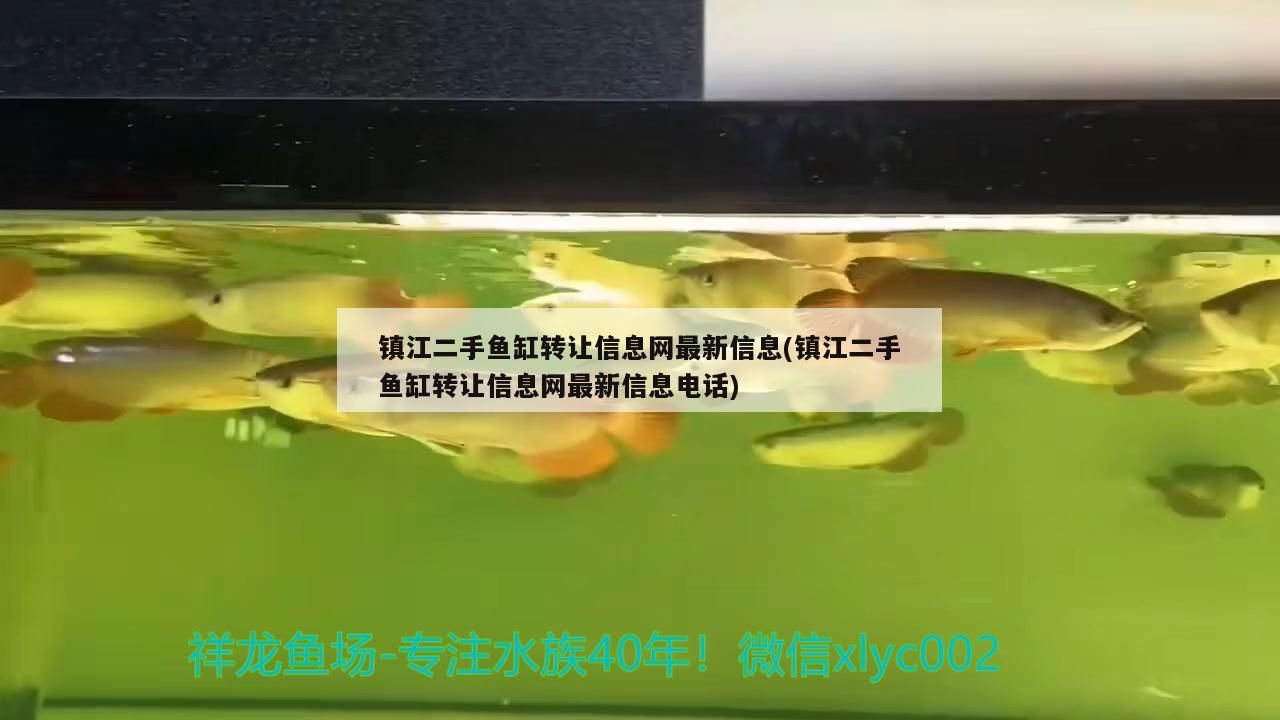 鎮江二手魚缸轉讓信息網最新信息(鎮江二手魚缸轉讓信息網最新信息電話)