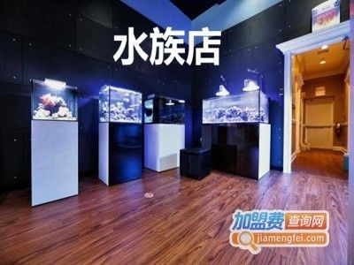 水族館加盟條件及費用多少錢啊知乎（水族館加盟條件及費用）