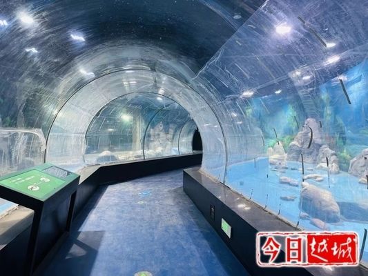 水族館開業做什么活動好：水族館開業優惠策略有哪些案例，水族館互動環節設計技巧