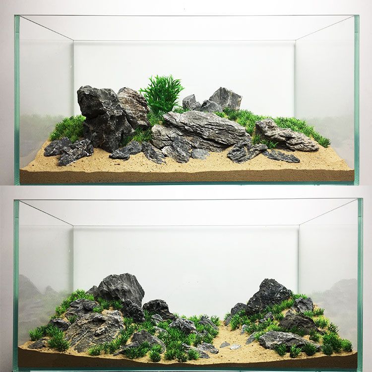 龍魚缸寬50cm行不行，龍魚缸尺寸與龍魚品種關系，