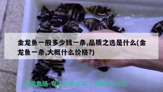 世界三大漁場分布（世界三大漁場位置）