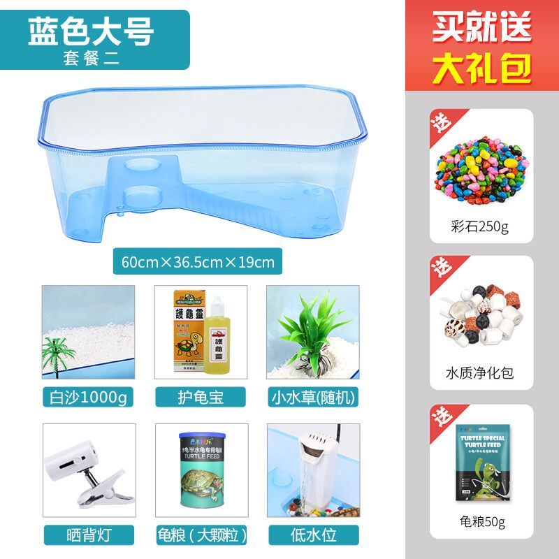 豬鼻龜是哪的品種：豬鼻龜?shù)纳盍曅? title=