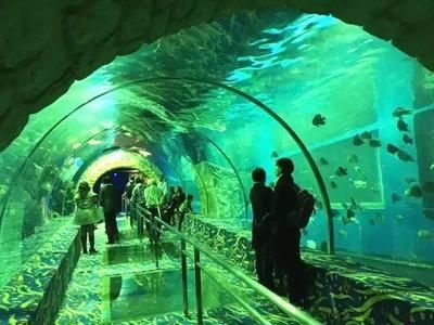 水族館在哪里?(南京水族館特色展覽介紹阿布扎比國家水族館互動體驗) 水族館百科(水族館加盟) 第5張 水族館在哪里?(南京水族館特色展覽介紹阿布扎比國家水族館互動體驗) 水族館在哪里?(南京水族館特色展覽介紹阿布扎比國家水族館互動體驗) 水族館百科(水族館加盟) 第5張