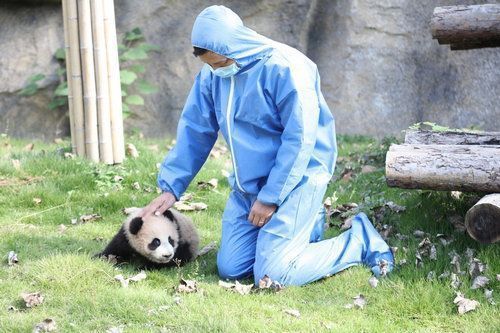 水族館工作人員是多少工資（水族館工作人員工資待遇如何） 水族館工作人員是多少工資（水族館工作人員工資待遇如何） 水族館百科（水族館加盟） 第3張