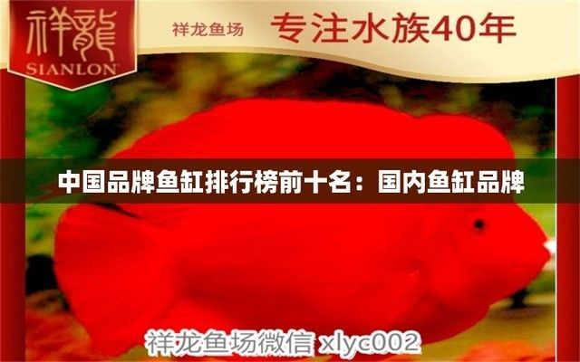 魚缸質量排行榜十大品牌，2024年魚缸十大品牌排行榜