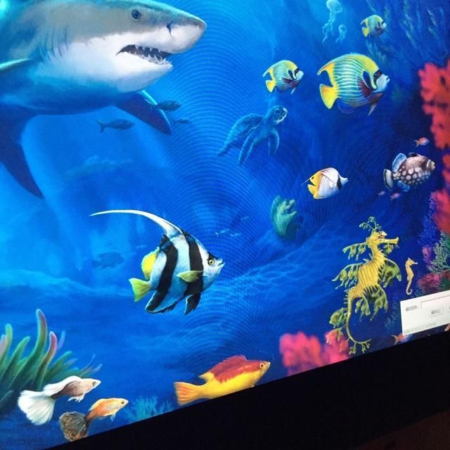 水族館牌子（水族館品牌性價比排行,）