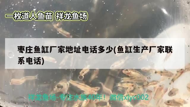 棗莊魚缸廠家地址電話多少(魚缸生產廠家聯系電話)