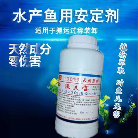 豬鼻和龍魚能不能混養(yǎng)一起(紅龍魚能跟豬鼻龜一起養(yǎng)嗎)