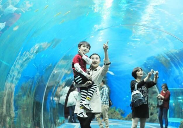 水族館怎么經營賺錢呢（水族館創業需要準備什么）