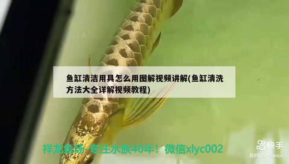 魚缸清潔用具怎么用圖解視頻講解(魚缸清洗方法大全詳解視頻教程) 黃金貓魚百科 第3張 魚缸清潔用具怎么用圖解視頻講解(魚缸清洗方法大全詳解視頻教程) 魚缸清潔用具怎么用圖解視頻講解(魚缸清洗方法大全詳解視頻教程) 黃金貓魚百科 第3張