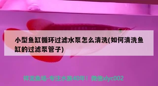 北方冬天給魚缸換水咋辦（冬天給魚缸換水的方法）