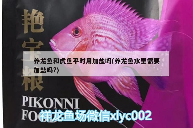 養(yǎng)龍魚和虎魚平時(shí)用加鹽嗎(養(yǎng)龍魚水里需要加鹽嗎?)