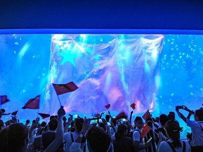 水族館觸摸池互動效果評估（水族館觸摸池互動效果的評估）
