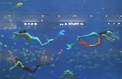 開個水族館要辦什么執照（開水族館需辦理哪些證件） 開個水族館要辦什么執照（開水族館需辦理哪些證件） 水族館百科（水族館加盟） 第6張