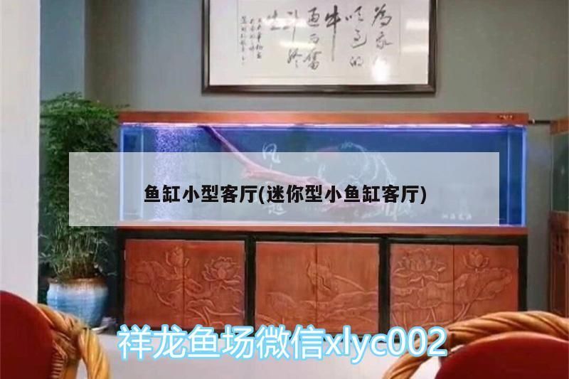 魚缸小型客廳(迷你型小魚缸客廳)