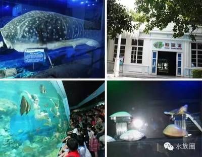 水族館投資大概多少錢啊（水族館裝修風格如何選擇水族館日常運營成本控制方法）