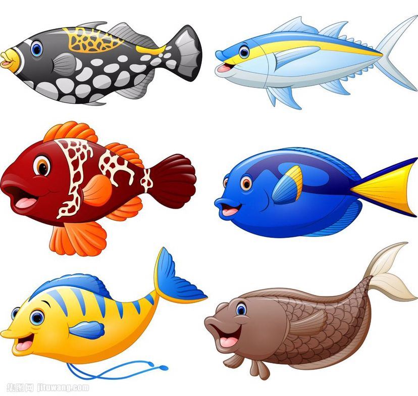你家的魚會睡覺嗎？ 你家的魚會睡覺嗎？ 黃金貓魚百科 第5張