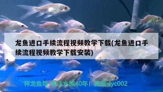 超白魚缸去哪買好呢（超白魚缸品牌十大排名）